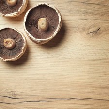 Forest Oak Curved Edge