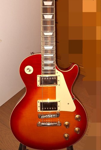 Burny les paul type - les,