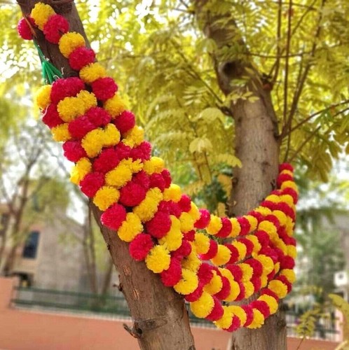 Pack indian wedding - pack, 20