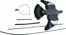 Ultimate flying pigeon - ultimate, decoy