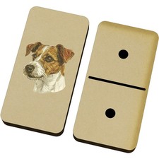 'Jack Russell Terrier