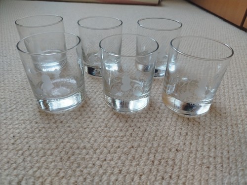 Etched glass tumblers mcc - glass,