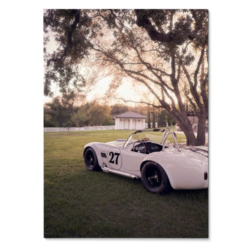 Shelby cobra 002 limited - #002,