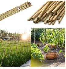 6ft Large Bamboo Canes Strong