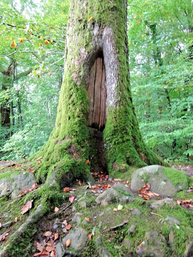 Woodland cottage create - uk,