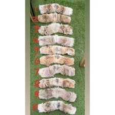 Canada Goose Fur  Trim *NEW SEASON*