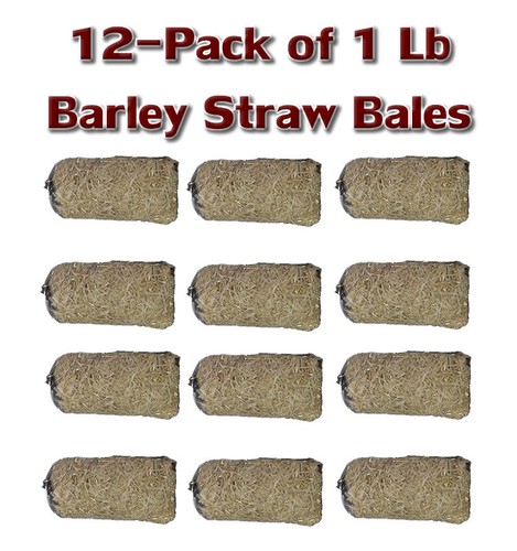 Pack easypro barley - pack,