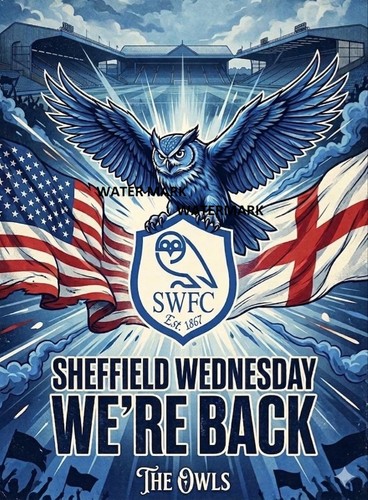Sheffield wednesday owls flag - wednesday,