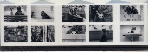 2001 any set issued - 2001,