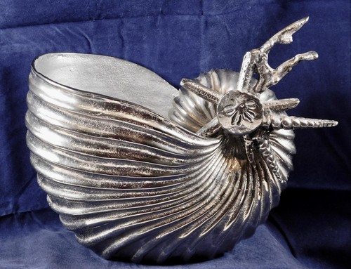 Vintage nautilus shell bowl - shell,