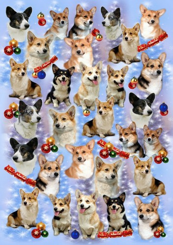 Corgi dog christmas gift - christmas,