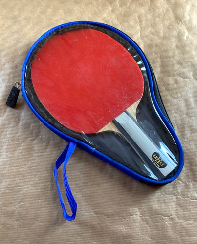 Palio expert table tennis - expert,