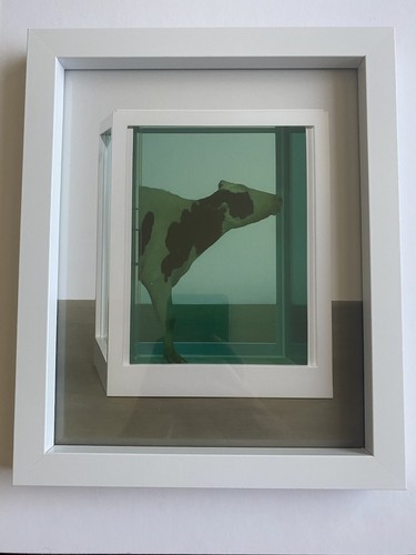 Damien hirst unsigned print - hirst,