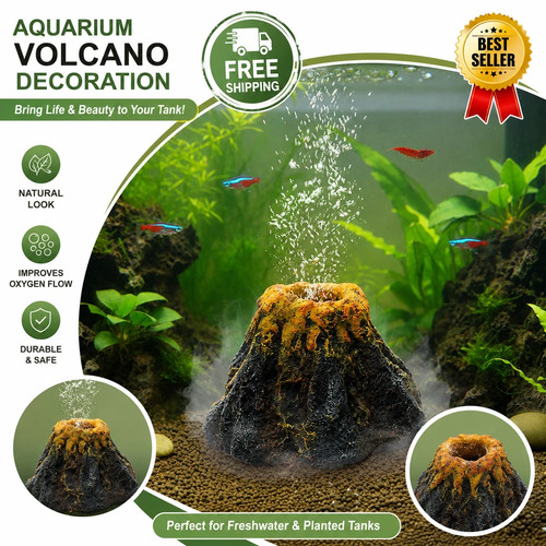 Fish tanks landscaping - tanks,