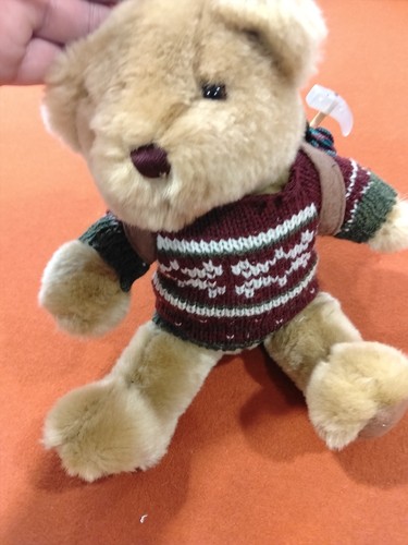 Henry the hiking bear with - henry,