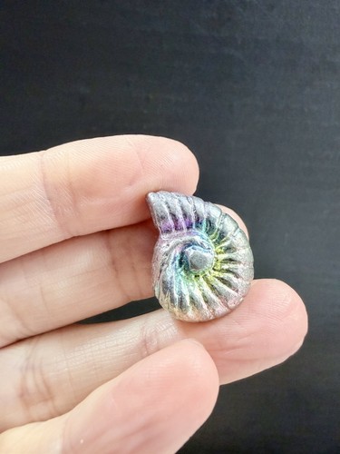 Crystal bismuth shell - shell, shape