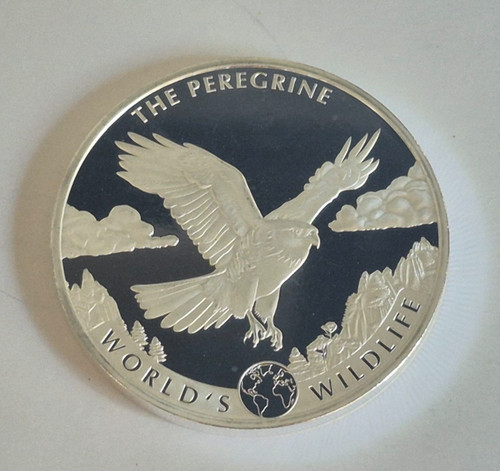 Peregrine falcon world - falcon, world's