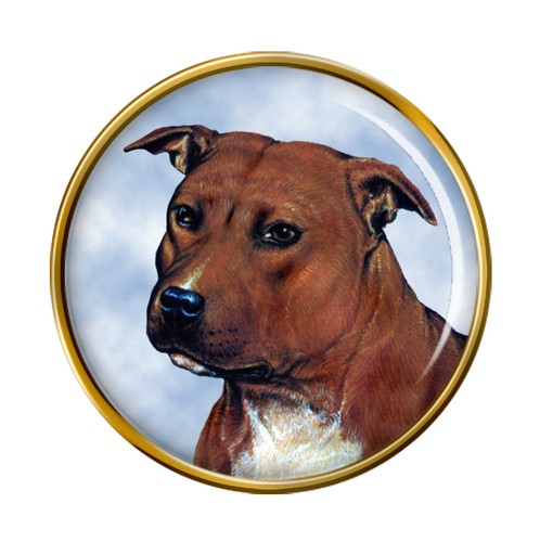 Staffordshire bull terrier - bull,