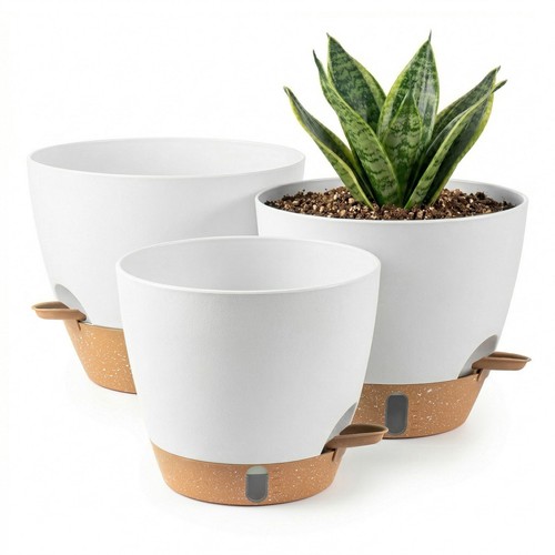 3pcs self watering plant - 3pcs,