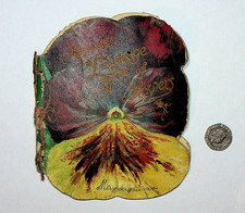 Unusual Victorian book