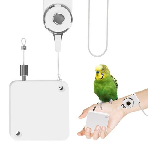 Bird training leash with - bird, auto
