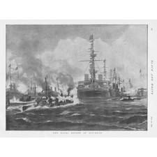 FRED T. JANE The Naval Review