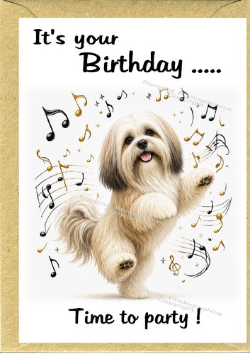 Lhasa apso dog - apso, 6")