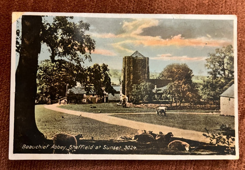 Antique postcard sheffield - antique,
