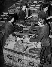 Members of the Auxiliary