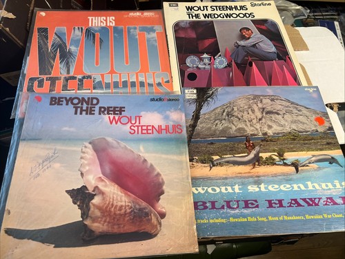Wout steenhuis album vinyl - 4,