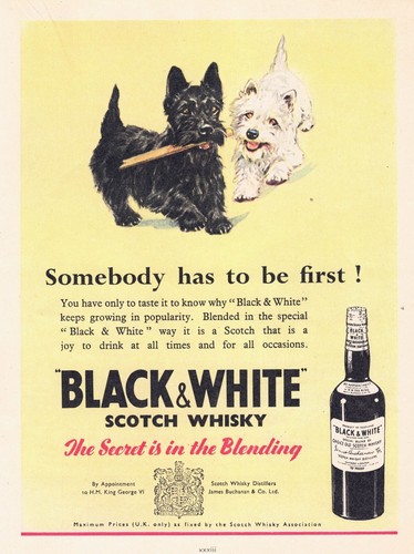 Black and white scotch whisky - and,