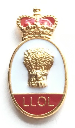 Orange lodge llol crown - orange,