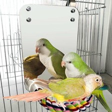 Acrylic Bird Mirror With Perch