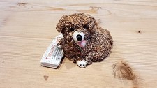 Small Spaghetti French Poodle