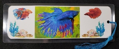 Fresh water tropical fish - water,