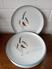 Denby Green Wheat Vintage Dinner Plates Set Of 5 Good Condition