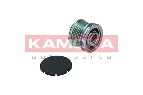 Alternator freewheel clutch - freewheel,