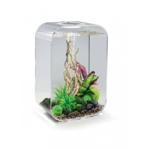 Biorb life aquarium with - life, 45