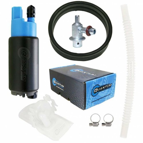 Quantum intank fuel pump - intank,