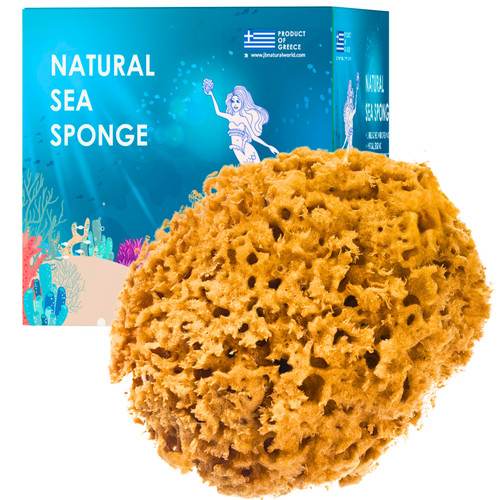 Natural sea sponge for bath - natural,