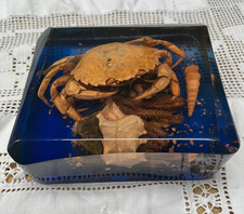 Vintage Blue Lucite Perspex Crab Shell Seaweed Seascape Paperweight Diorama 50's