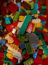 Duplo Brick Bundle 1 Kg From