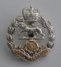 British Army Royal Hampshire Regiment Anodised Cap Badge
