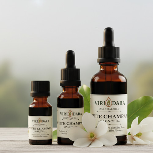Organic white champaca - organic,