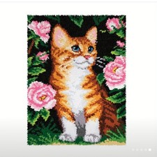 Latch hook  rug kit Beautiful