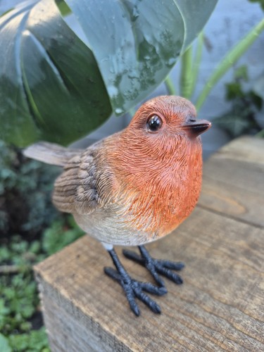 Realistic robin ornament - realistic, –
