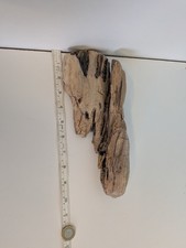 4932#  DECORATIVE DRIFTWOOD