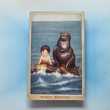 Comic Postcard 1920 Sea Lion