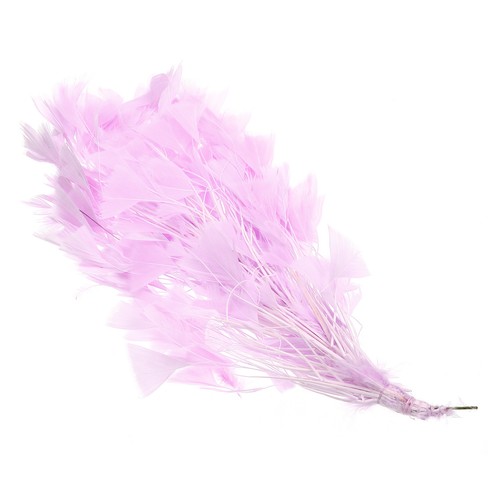 Inch turkey feathers - turkey, 1