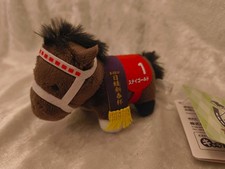 Stay Gold Petite Thoroughbred